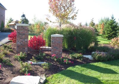 Planting and Lawn - SigNature Landscaping