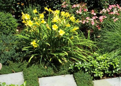 Planting and Lawn - SigNature Landscaping