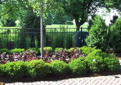 Planting and Lawn - SigNature Landscaping