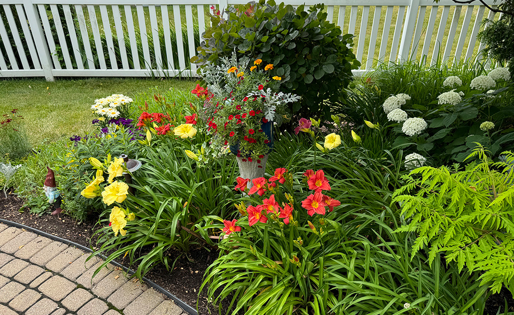 IMG_0918 Planting and Lawn